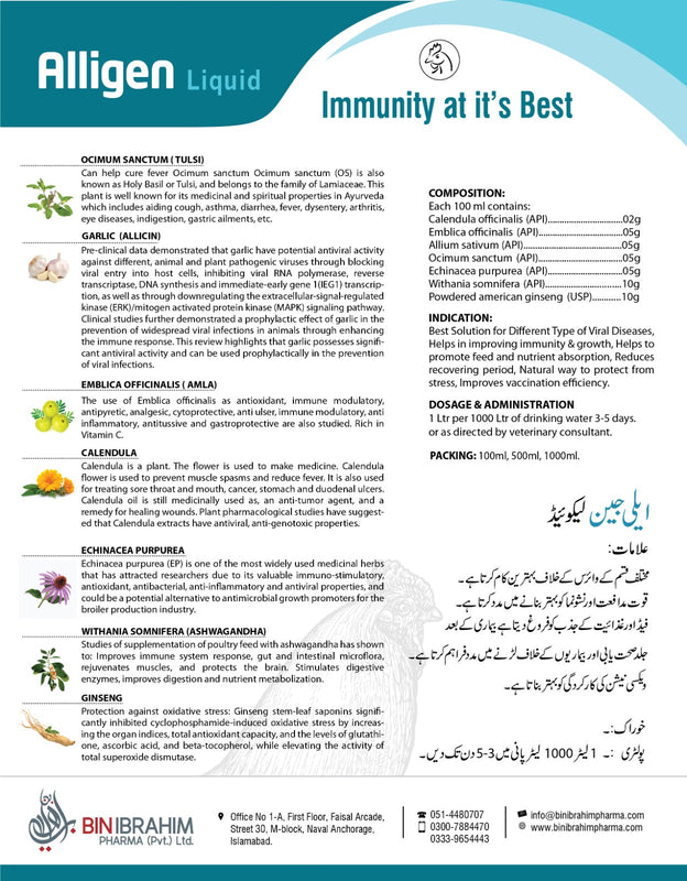 šš„š„š¢š šš§ šš¢šŖš®š¢š šššš¦š„