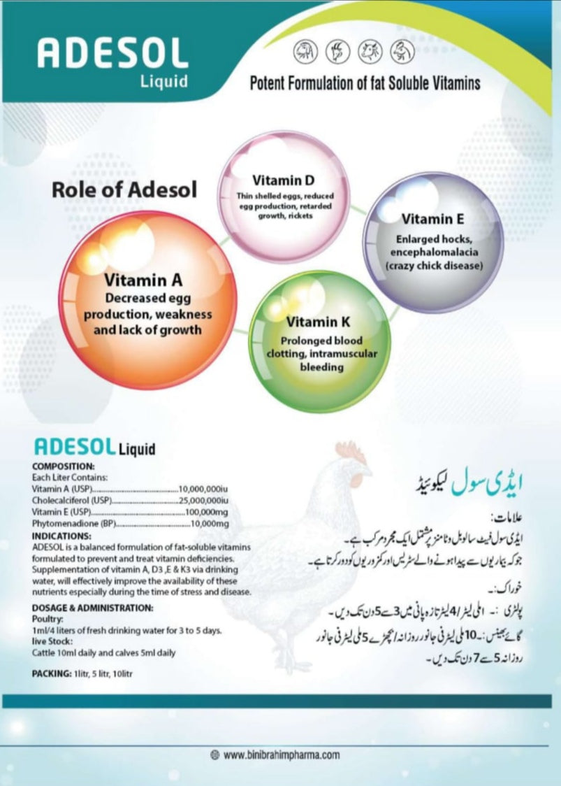 šššššš šš¢šŖš®š¢š šššš¦š„