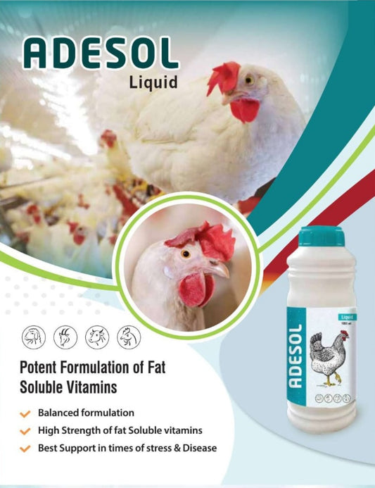 𝐀𝐃𝐄𝐒𝐎𝐋 𝐋𝐢𝐪𝐮𝐢𝐝 𝟏𝟎𝟎𝐦𝐥